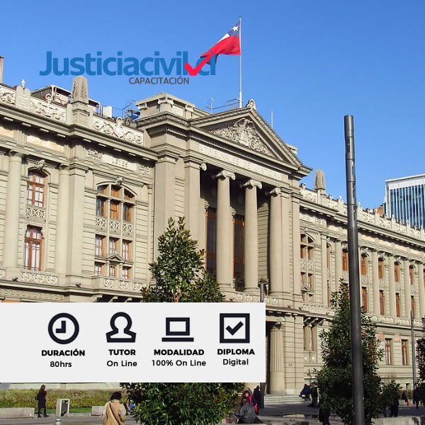 Curso Introduccion a la Justicia Civil en Chile
